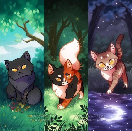 Коты воители звездоцап в сумрачном лесу