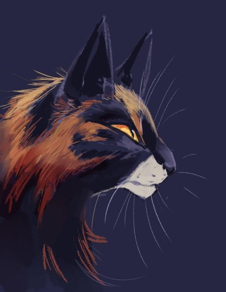 Кленовница коты воители