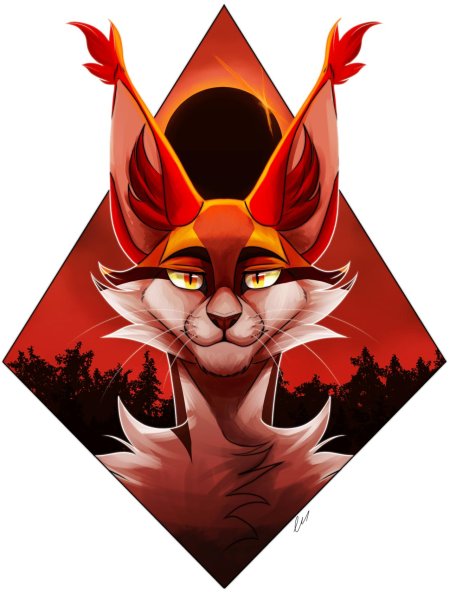 Сол коты воители