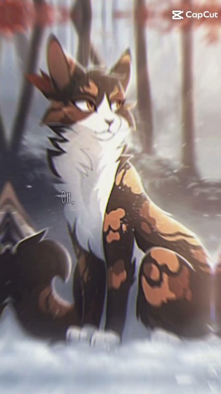 Коты воители пестролистая