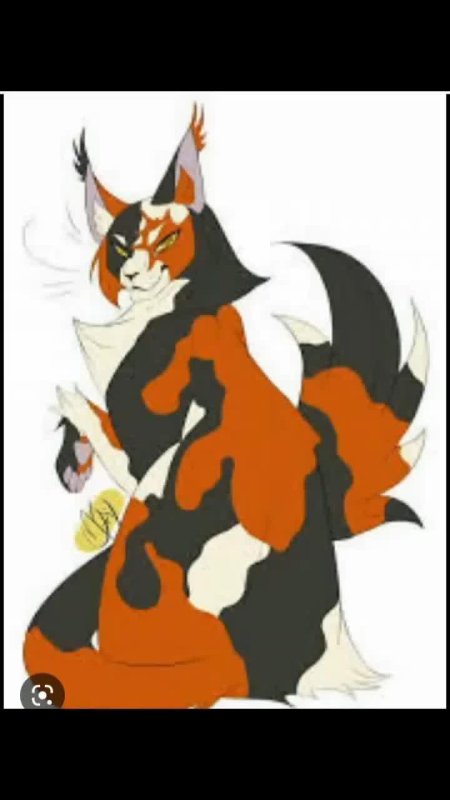 Коты воители marymsjay