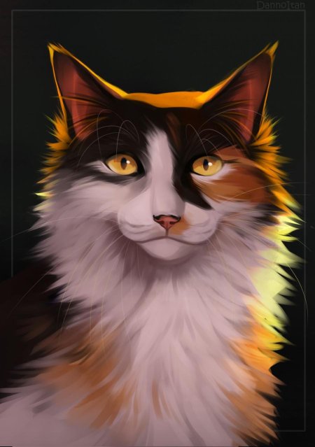 Кленовница коты воители