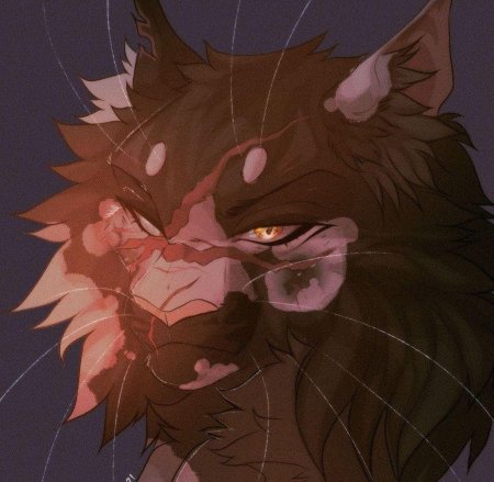 Коты воители звездоцап