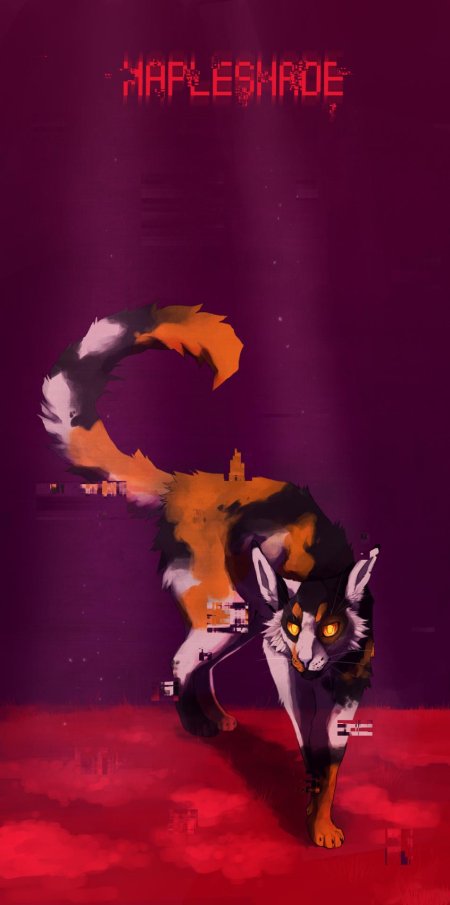 Коты воители пестролистая красивые арты