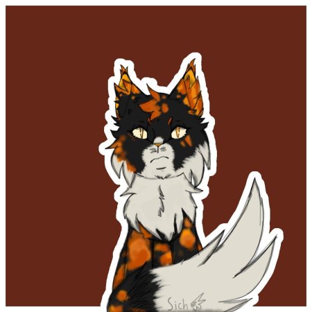 Коты воители месть кленовницы