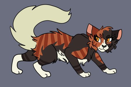 Warrior cats mapleshade