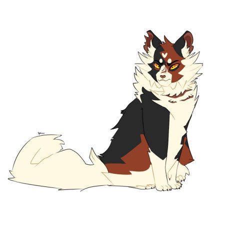 Mapleshade warriors cats design