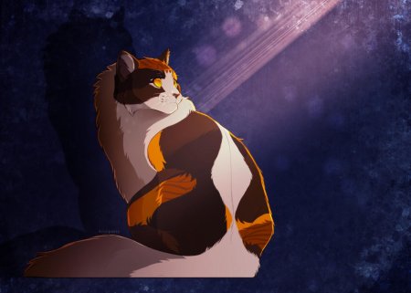 Кленовница коты воители арты