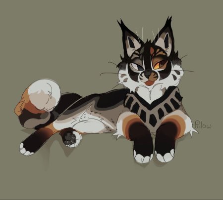 Темнохвост коты воители