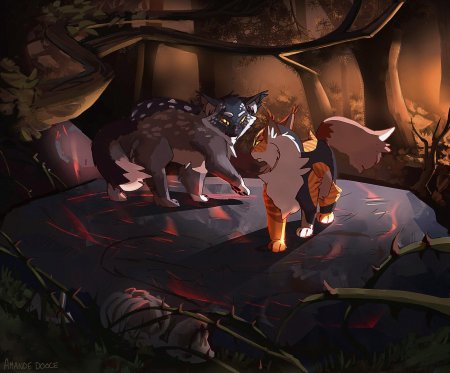 Коты воители остролап кленовница