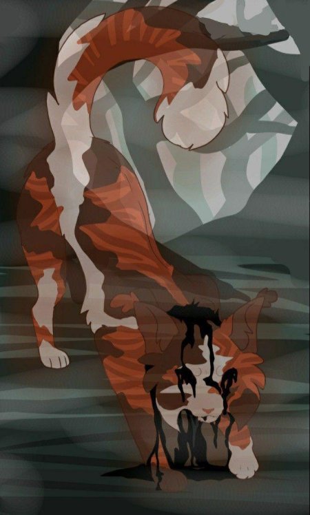 Коты воители кленовница убийца