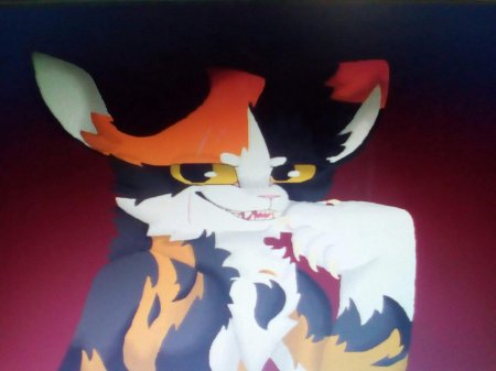 Коты воители кленовница