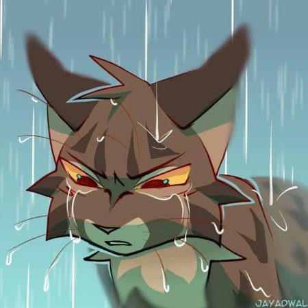 Коты воители арты