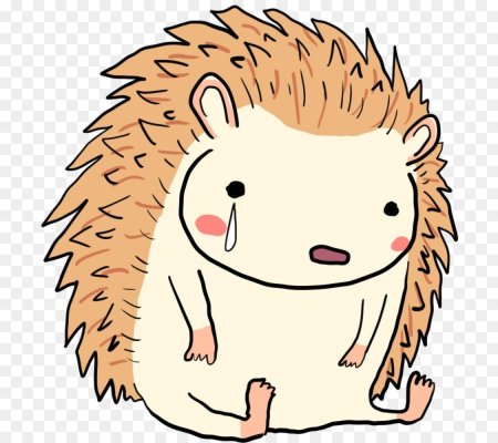 Ежик грустный