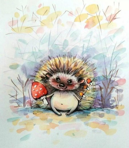 Милые ежики иллюстрации