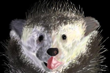 Милые ежики