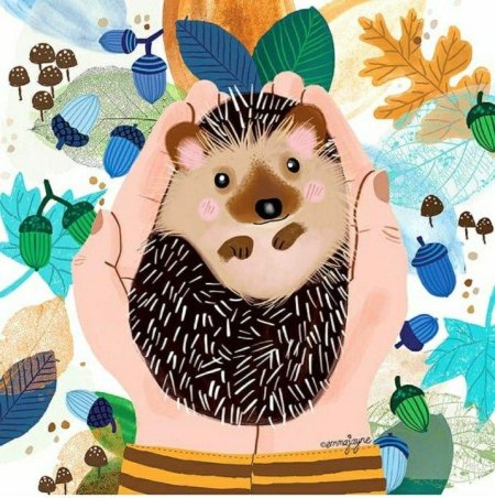 Ежик иллюстратор