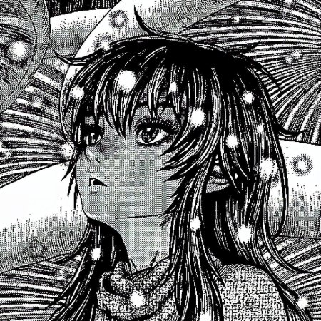 Berserk casca