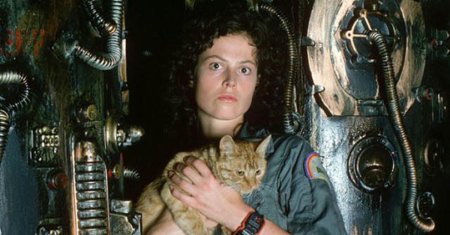 Сигурни уивер чужой