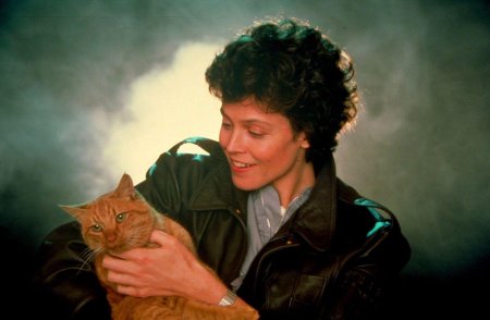 Эллен рипли и кот джонси