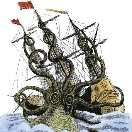 Спрут кальмар кракен