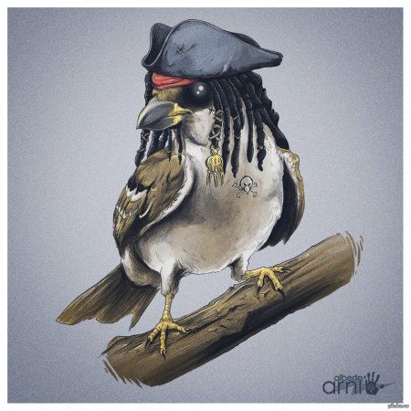 Джек воробей птичка