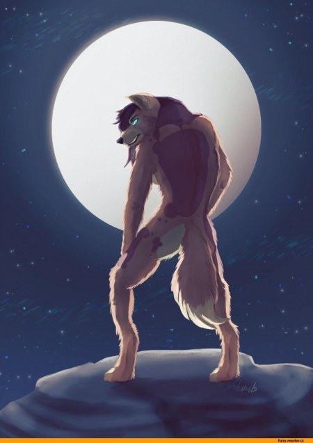 Вервольф фурри