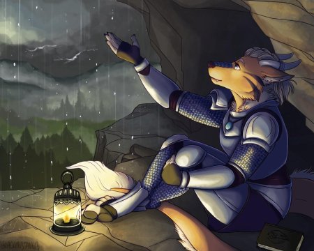 Фурри антро