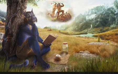 Игра tes skyrim каджит и сладкий рулет