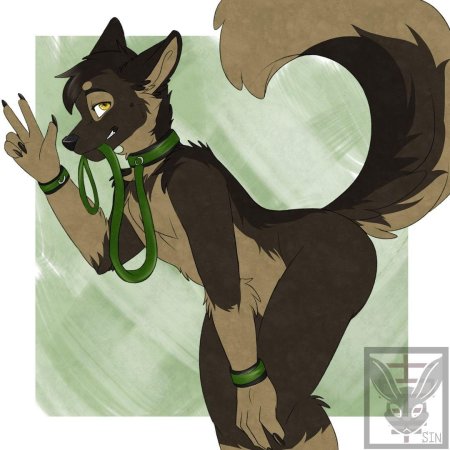 Фурри в ошейнике