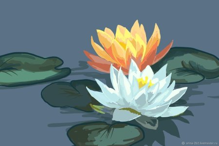 Кувшинки на воде рисунок