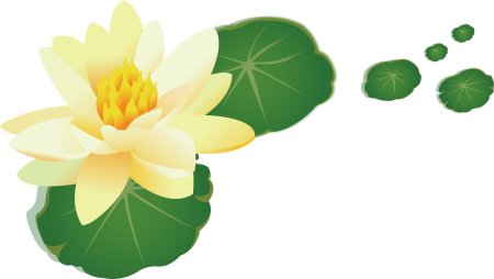 Лотос (nelumbo nucifera yellow) сем