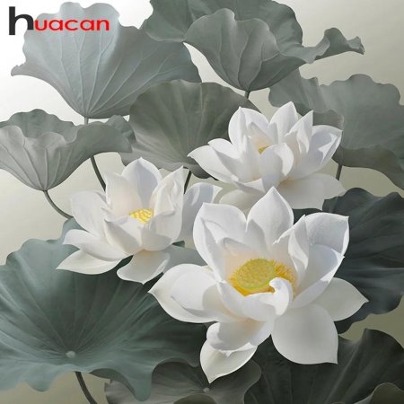 Белый лотос цветок