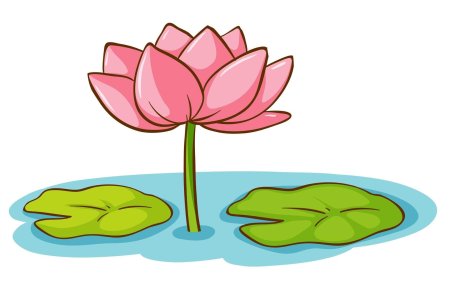 Лотос орехоносный вектор