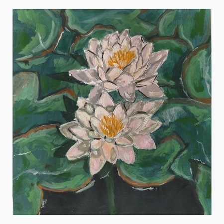 Водяная лилия кувшинка