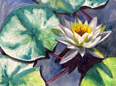 Кувшинки акварелью