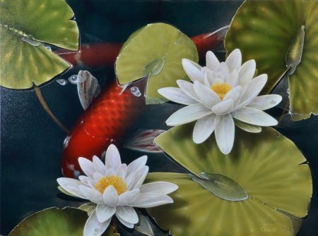 Карпы кои терри жилецки