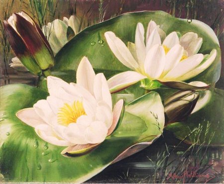 Алессандро форнеро художник кувшинки