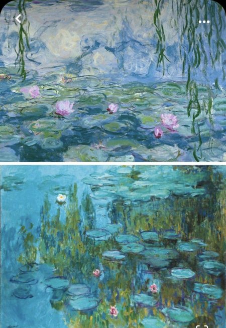 Кувшинки клода моне