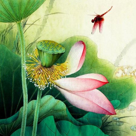 Китайская живопись лотос