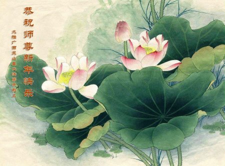 Лотос гунби