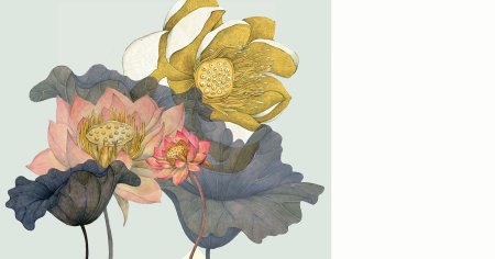 Лотос гунби