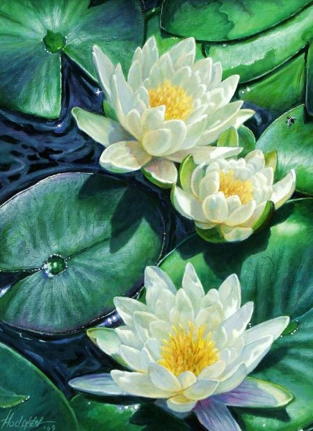 Картина кувшинки