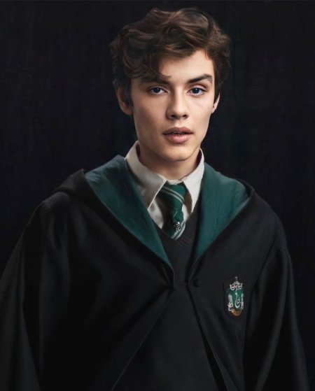 Теодор нотт гарри поттер