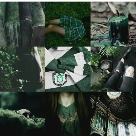 Эстетика слизерина