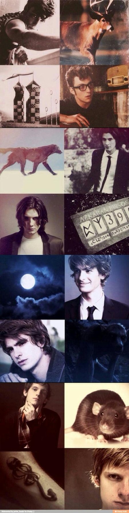 Мародеры гарри поттер