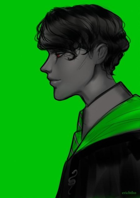 Гарри поттер и том реддл