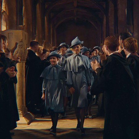 Флер делакур гарри поттер