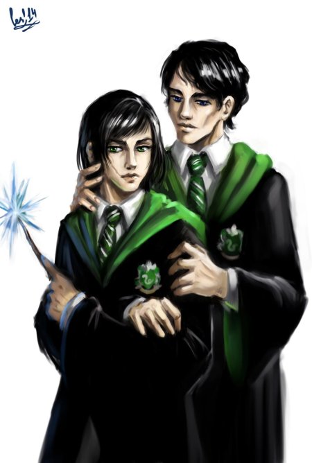 Том реддл и гарри поттер