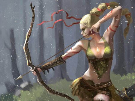 Эльфийка рин лучница